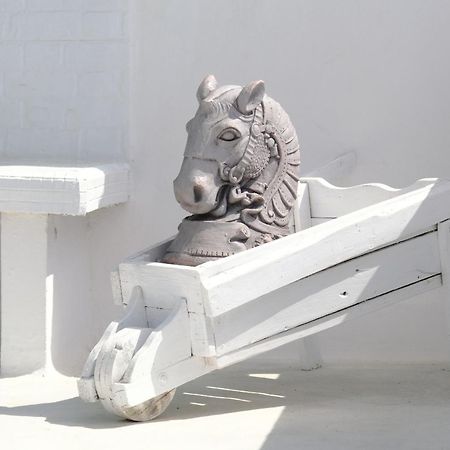 Rooftop Dreamhouse - 3Br With Seaviews Санта Круз де Ла Палма Екстериор снимка